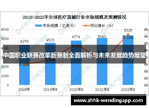中国职业联赛改革新赛制全面解析与未来发展趋势展望