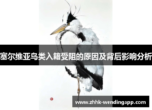 塞尔维亚鸟类入籍受阻的原因及背后影响分析