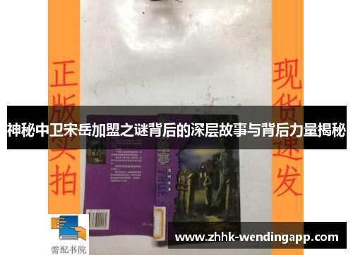 神秘中卫宋岳加盟之谜背后的深层故事与背后力量揭秘