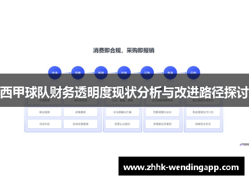 西甲球队财务透明度现状分析与改进路径探讨