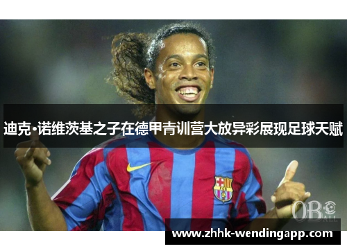 迪克·诺维茨基之子在德甲青训营大放异彩展现足球天赋